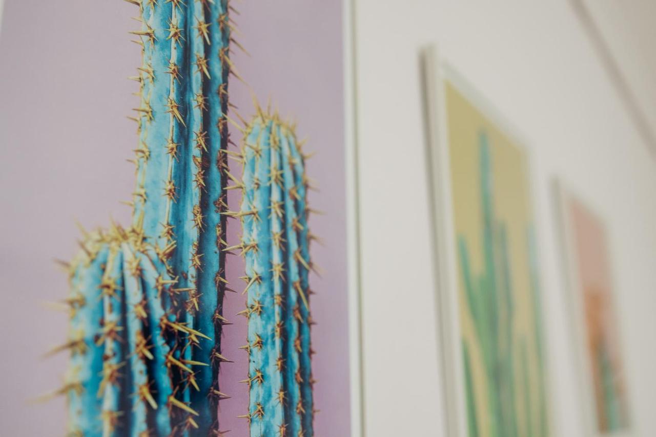 Cactus - Blooming Garden Apartments カラマタ エクステリア 写真