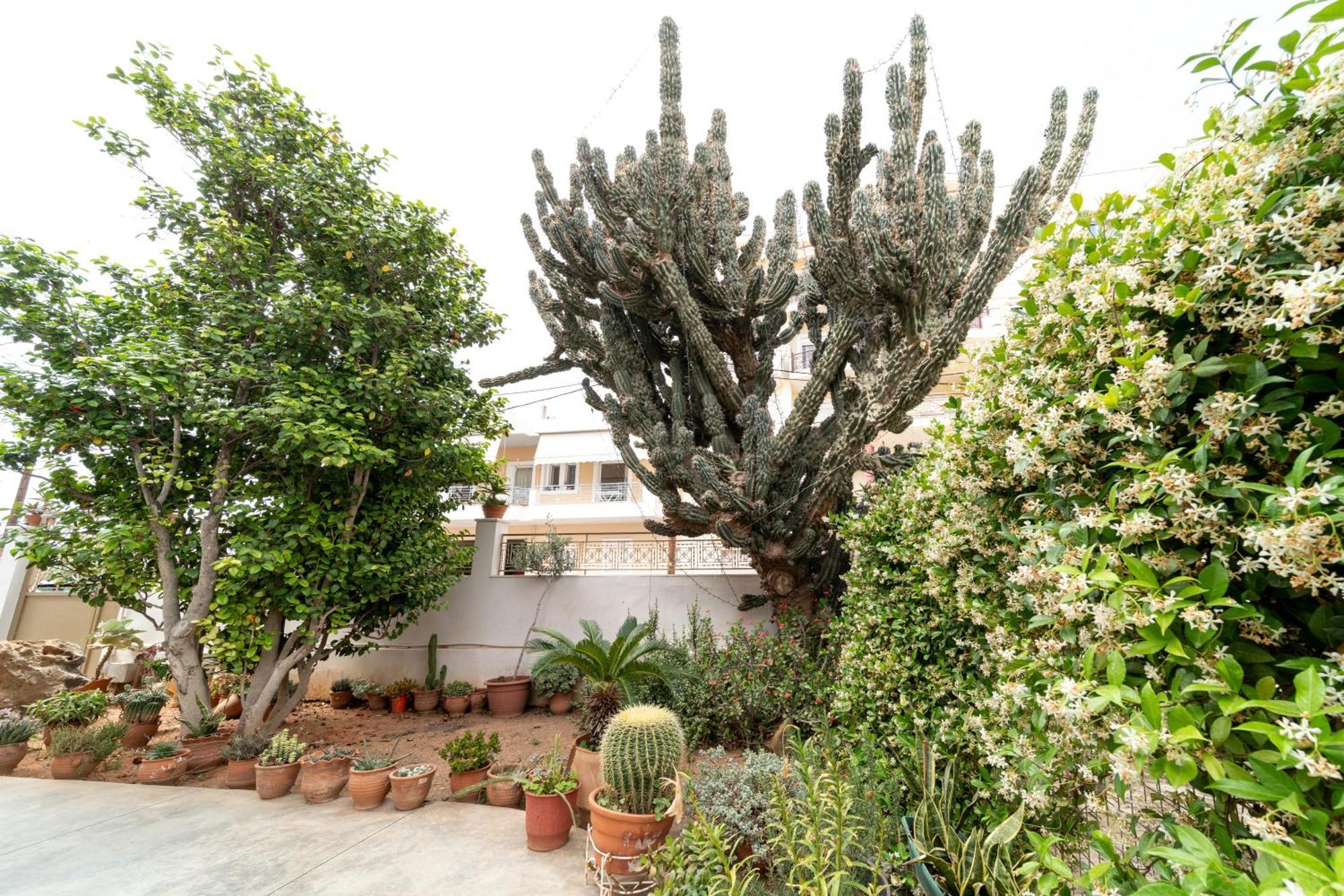 Cactus - Blooming Garden Apartments カラマタ エクステリア 写真